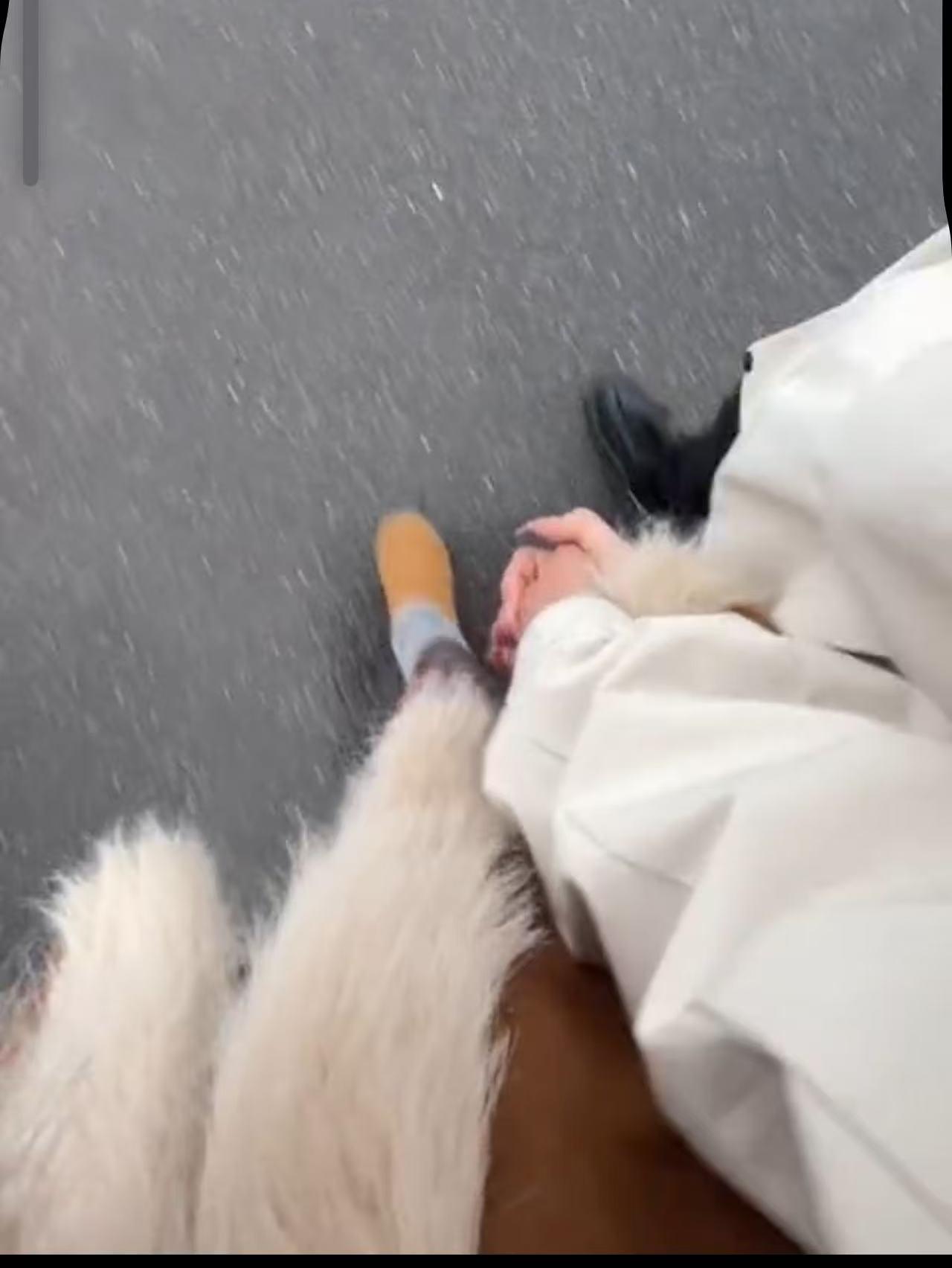 我们去衡阳的玩的时候